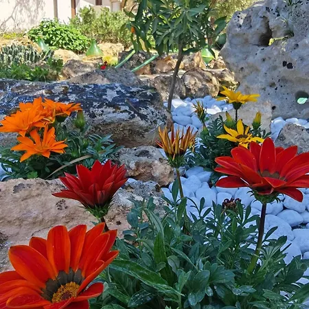 Сasa de vacaciones Il Carrubo Gallipoli