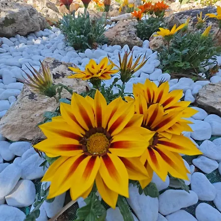 Сasa de vacaciones Il Carrubo