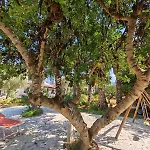 Casa vacanze Il Carrubo