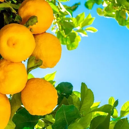 Ferienhaus Il Carrubo Gallipoli