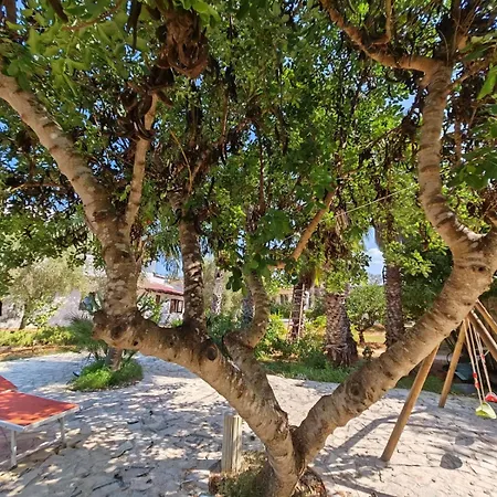Vakantiehuis Il Carrubo