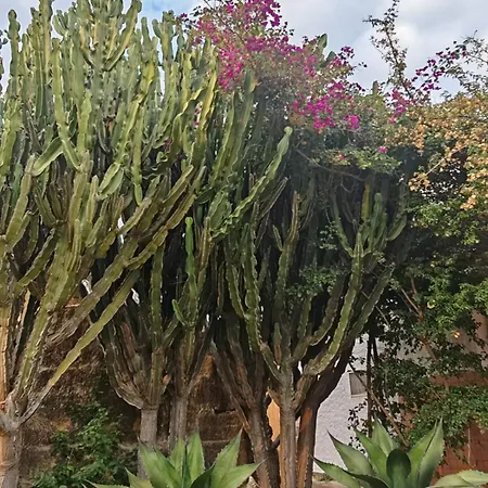 Il Carrubo Ferienhaus