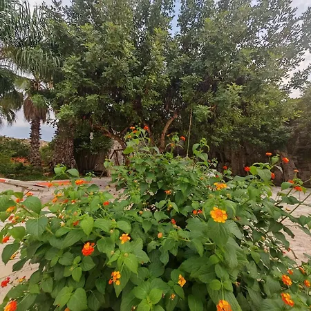 Il Carrubo Gallipoli