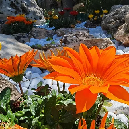 Hébergement de vacances Il Carrubo *