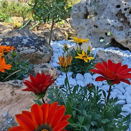 Il Carrubo Gallipoli