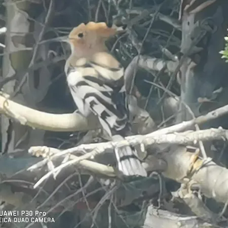 Ferienhaus Il Carrubo *